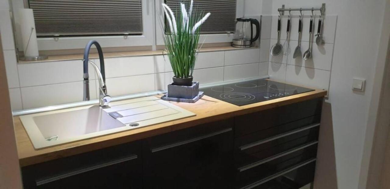 Schicke Ferienwohnung Mit Harzblick Fuer 1-2 Oder 1-4 Personen ゴスラー エクステリア 写真